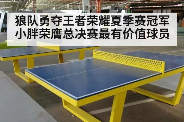 狼队勇夺王者荣耀夏季赛冠军小胖荣膺总决赛最有价值球员